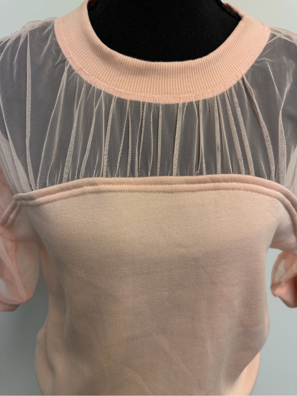 Anthropologie Maeve Sheer insert Pink Pullover Top - Picture 7 of 13